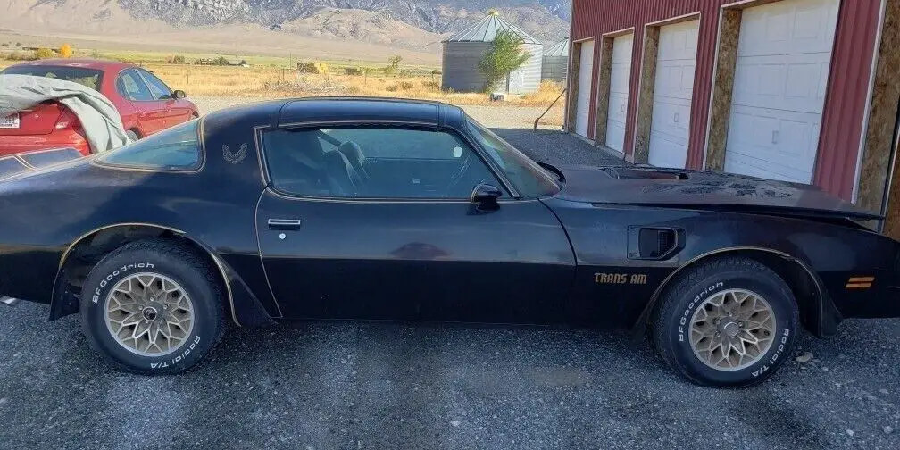 1977 Pontiac Firebird Trans Am Barn Find