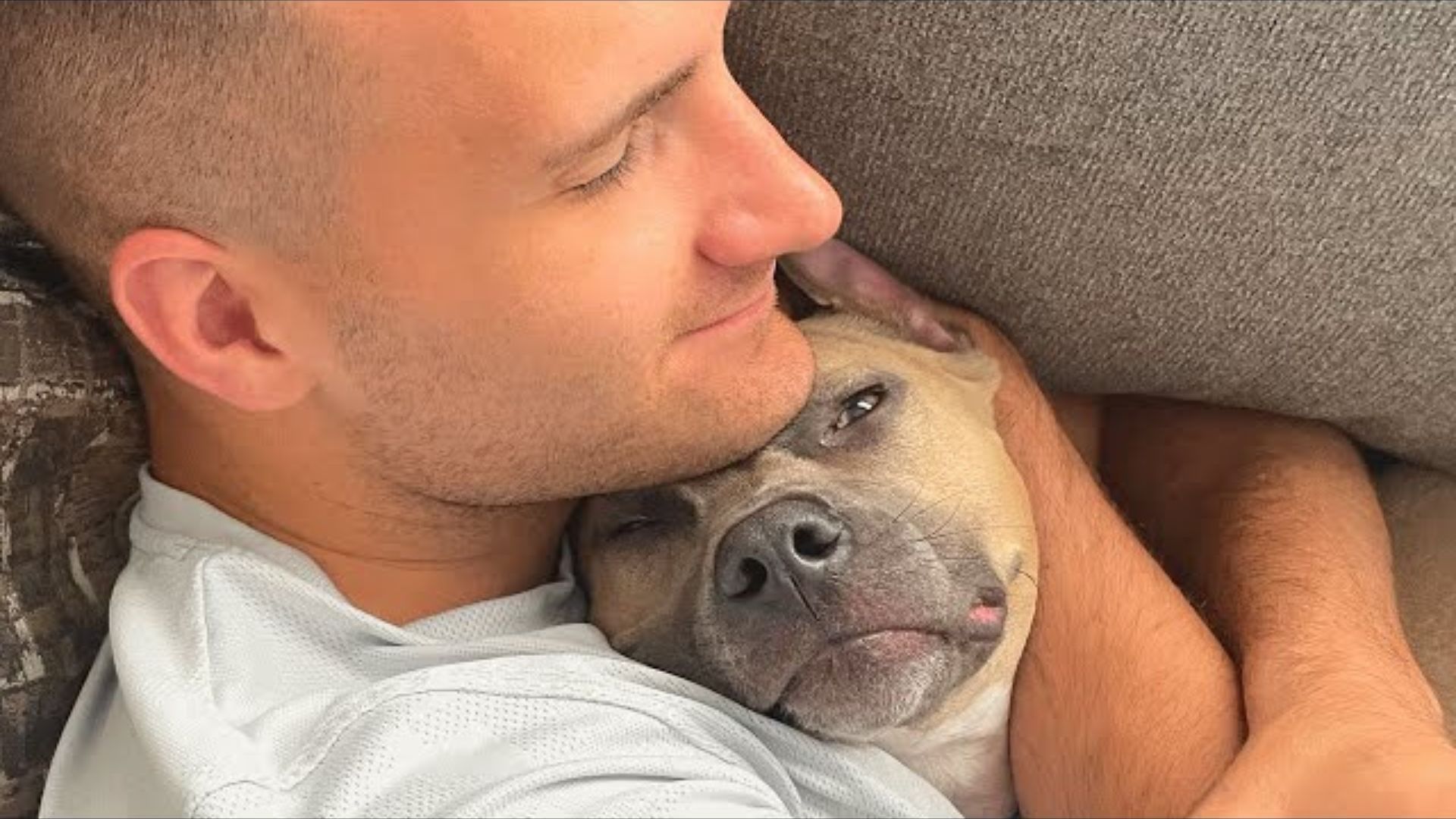 Couple Adopted An Abandoned Pittie And Then Learned Something Astonishing About His Breed