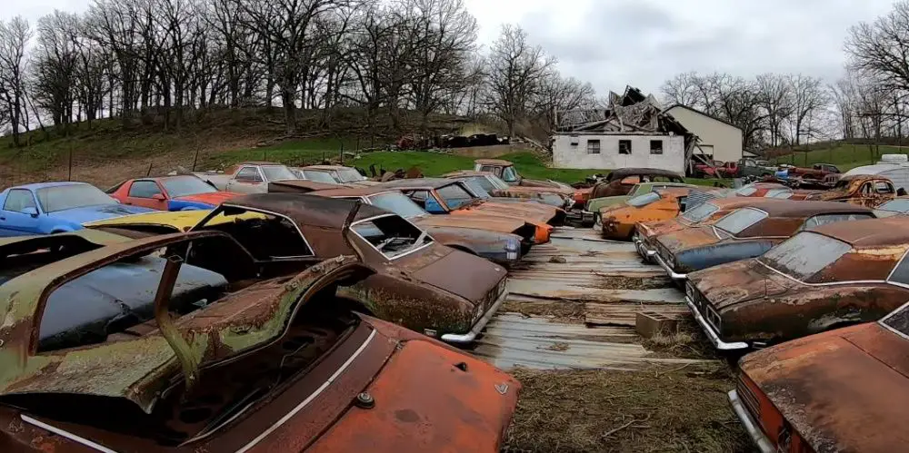 Dozens of rusting Chevy Camaros in this graveyard