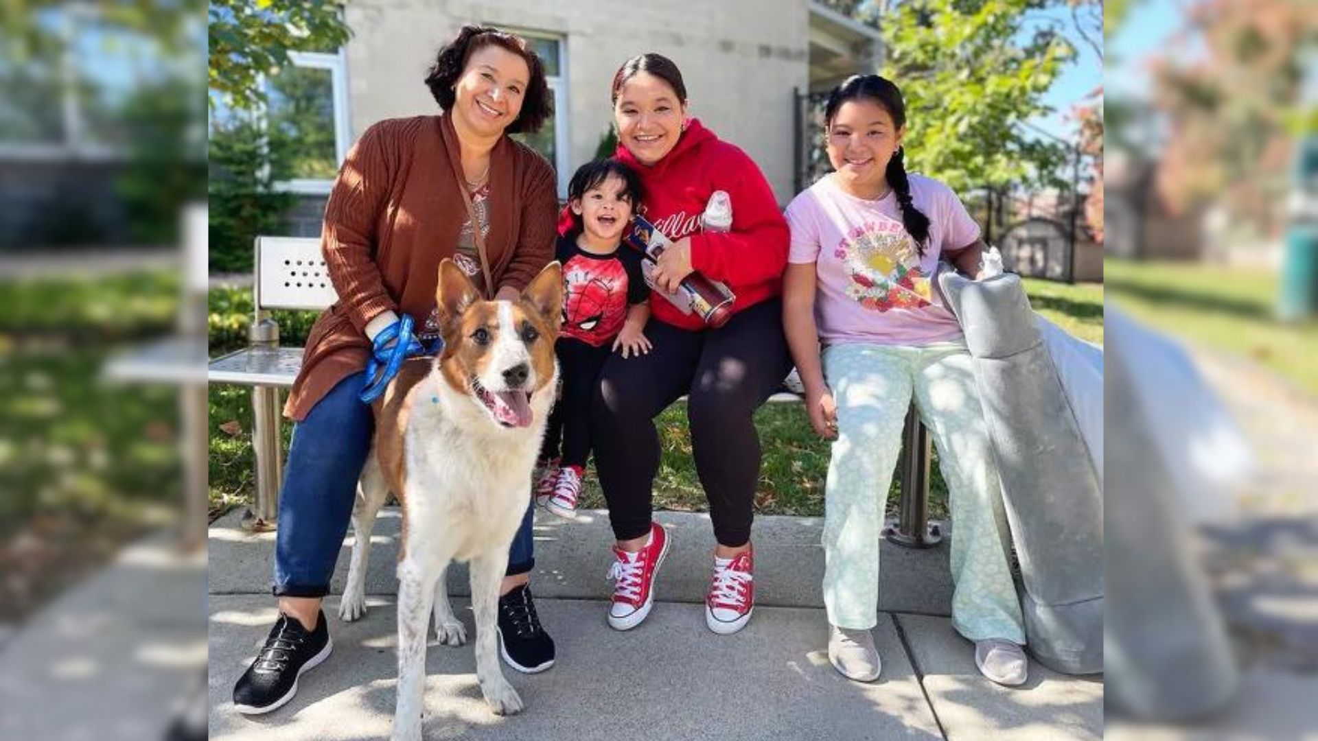 Family Went To Adopt A Dog Only To Find A Huge Surprise Waiting For Them At The Shelter