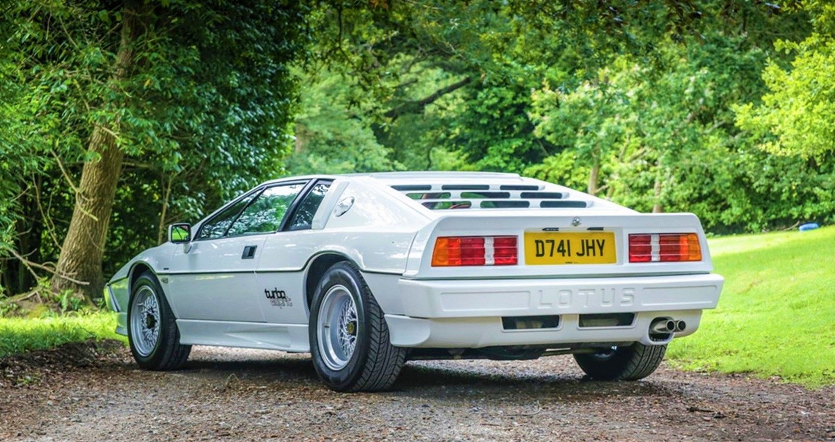 Lotus Esprit turbo - Rear