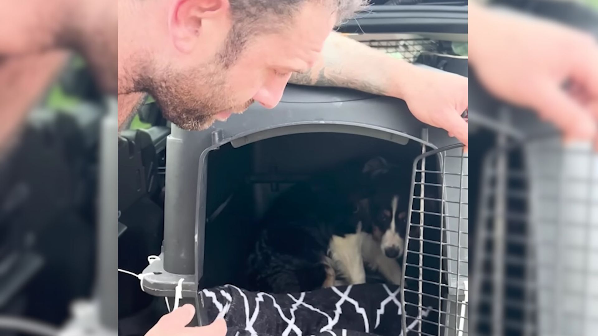 One Moment In Her Daddy’s Arms Was Enough For This Aussie Puppy To Completely Transform