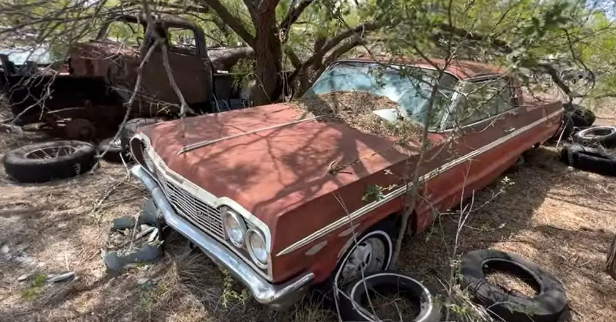 Red Impala Barn Find, in field