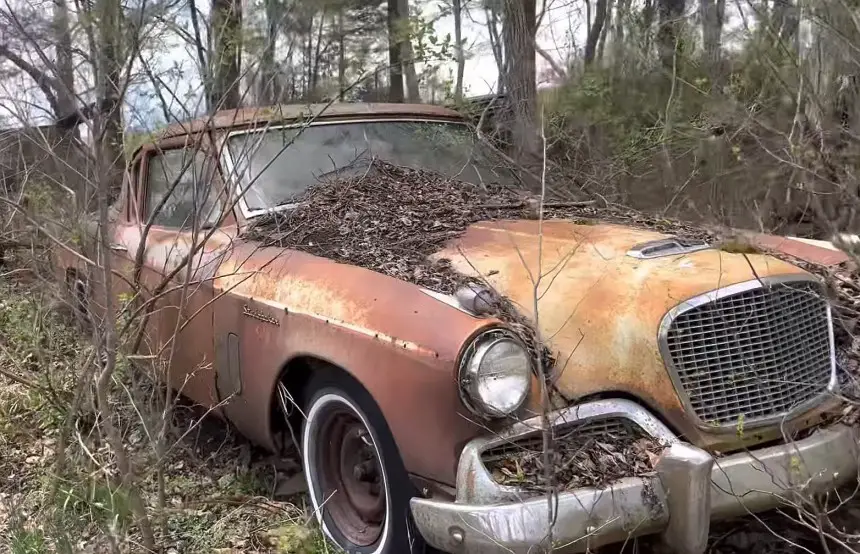 abandoned forest junkyard