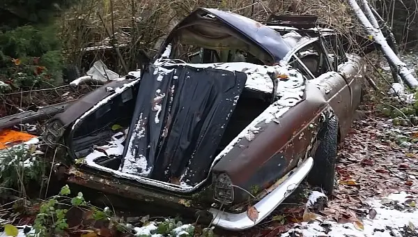 Classic cars abandoned in the woods