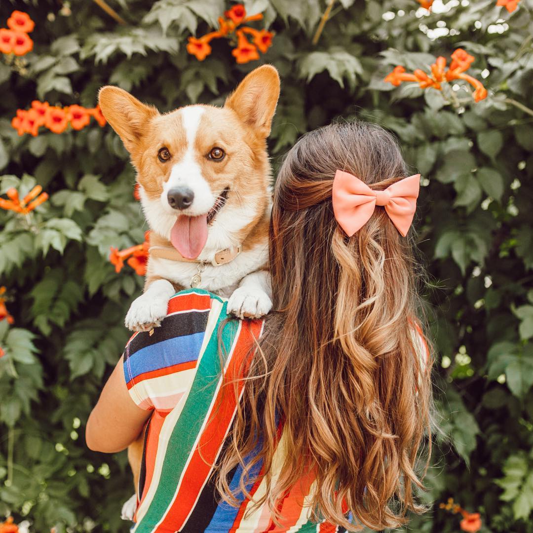 corgi in woman's arms