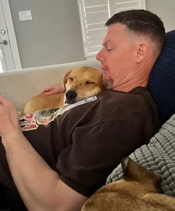 dog sleeping on a owner