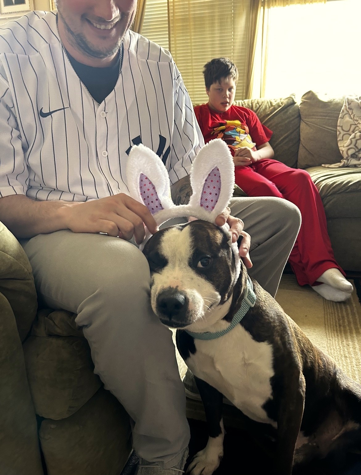 dog with bunny ears