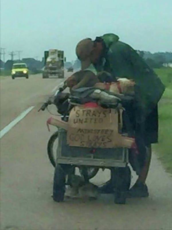 homeless man with a cart full of puppies