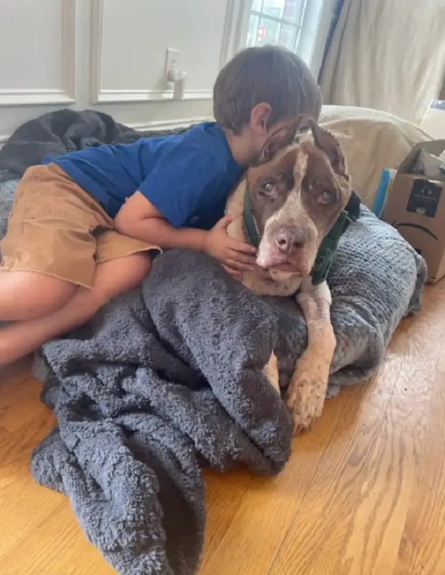 little boy lying with the dog