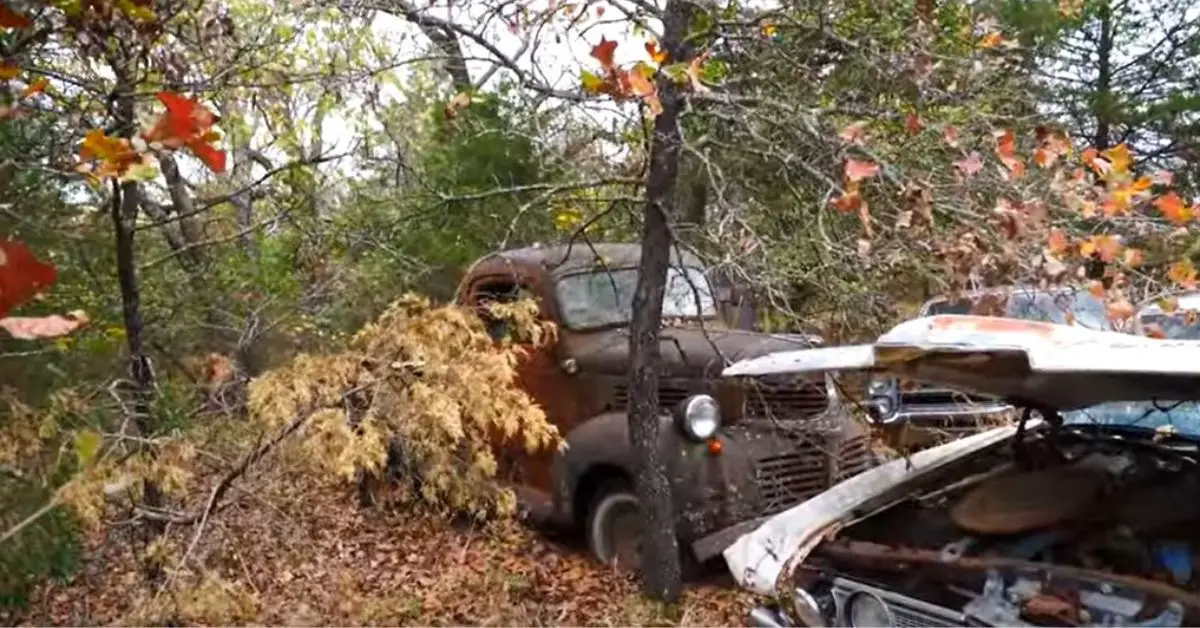 Abandoned Millionaire's Car Collection - Dodge Truck 