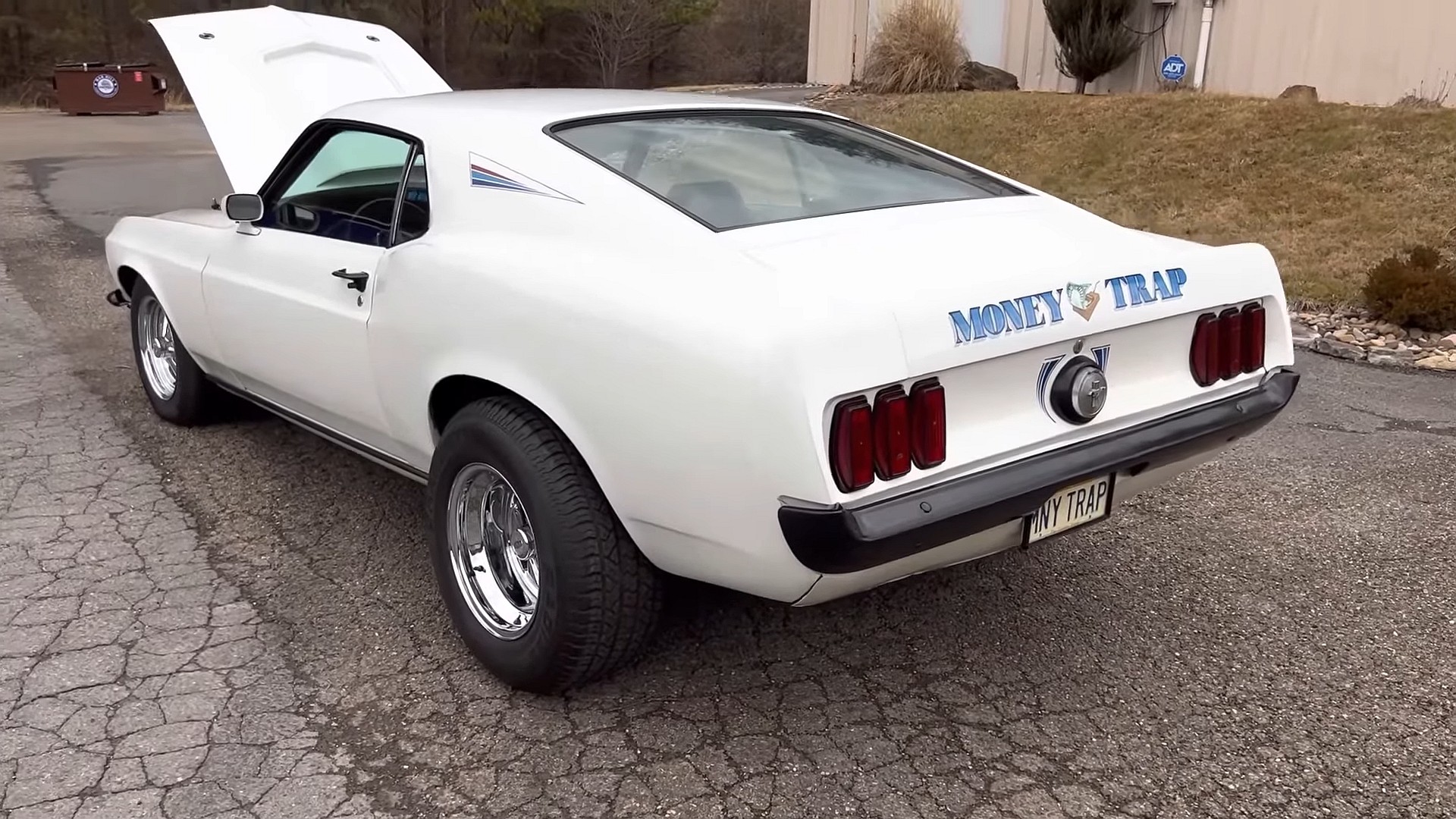 Money Trap" Is a 1969 Ford Mustang With a 427 Side-Oiler and Hand-Painted Snakes - autoevolution