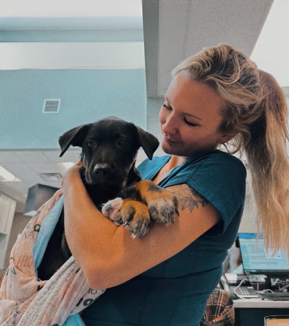 nurse holding the puppy