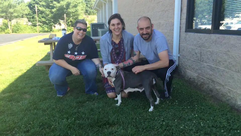 three humans and dog