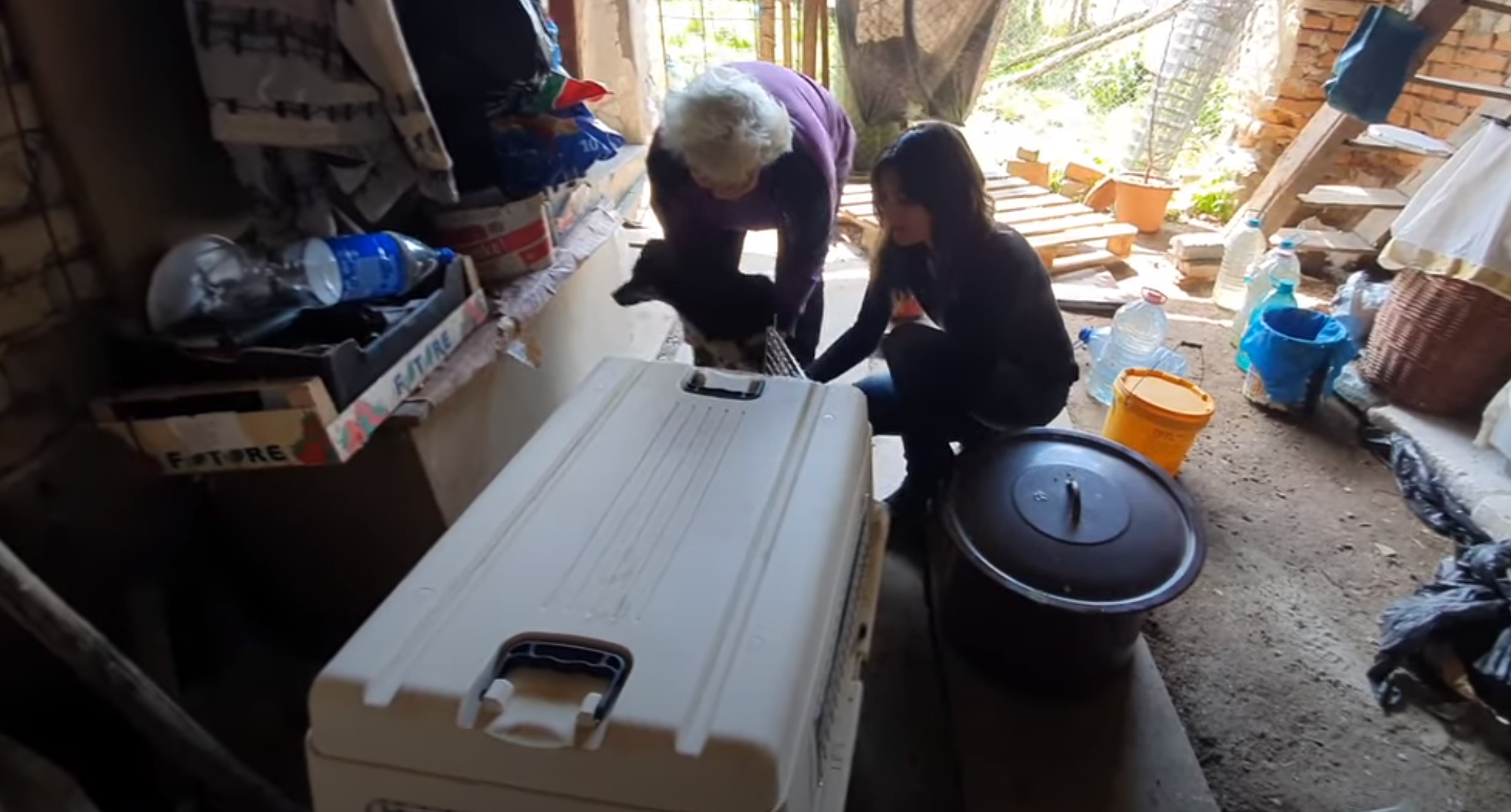 two woman putting dog in a kennel