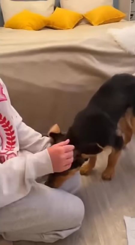 woman and her black puppy