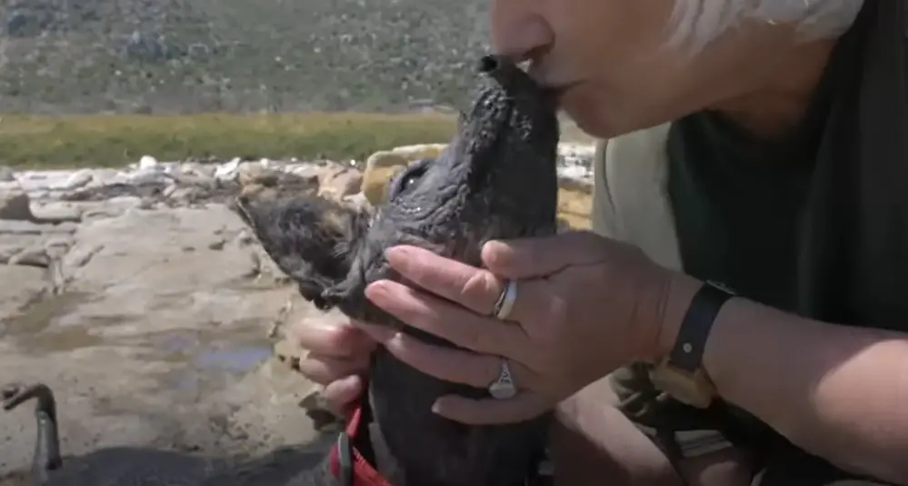 woman kissing the dog