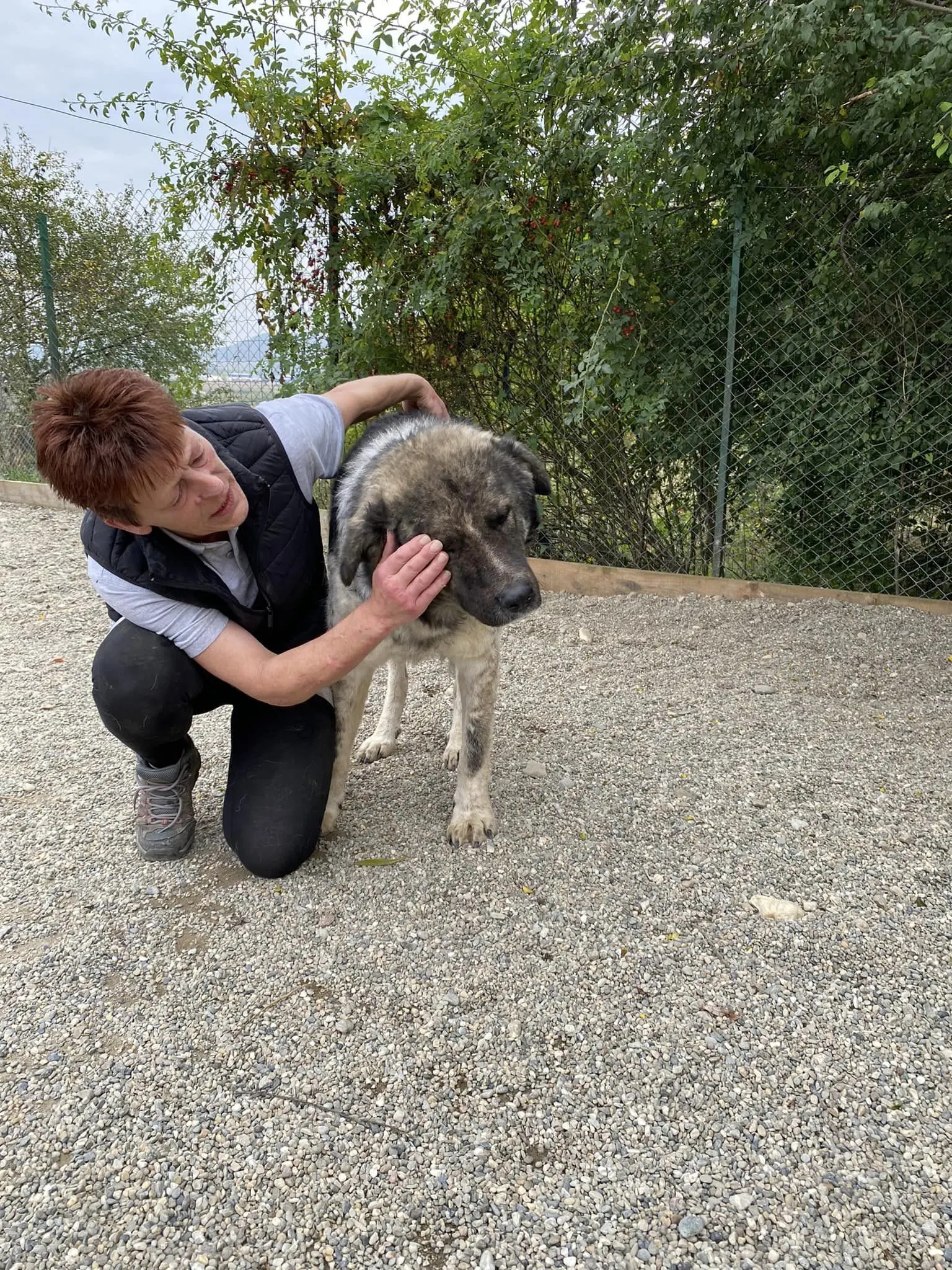 woman petting the rescued dog