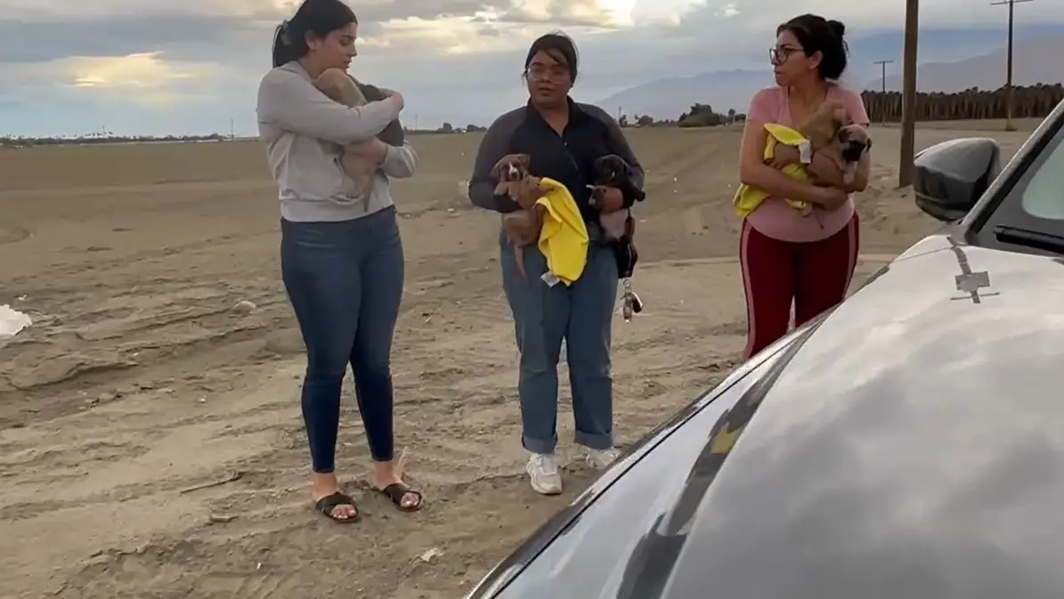 women holding dogs on the beach